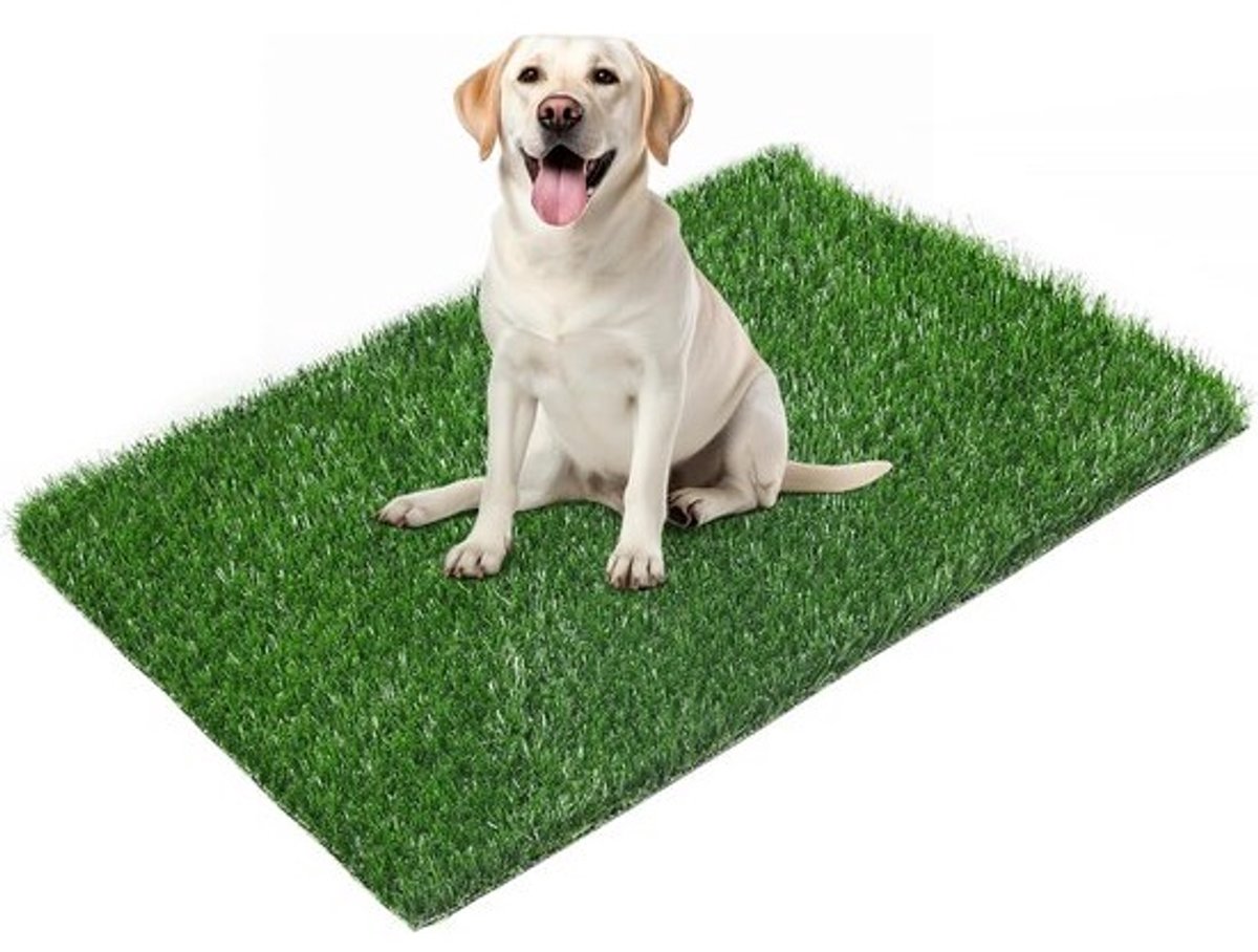 Kunstgras Trainingsmat voor Puppy's en Honden - Scheurbestendig en Snel Absorberend