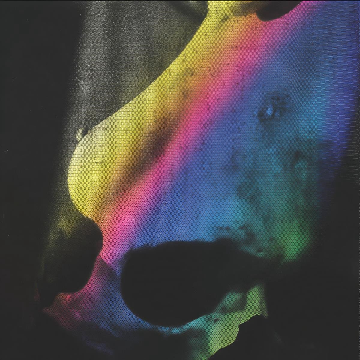 Vaura - The Missing (2 LP)