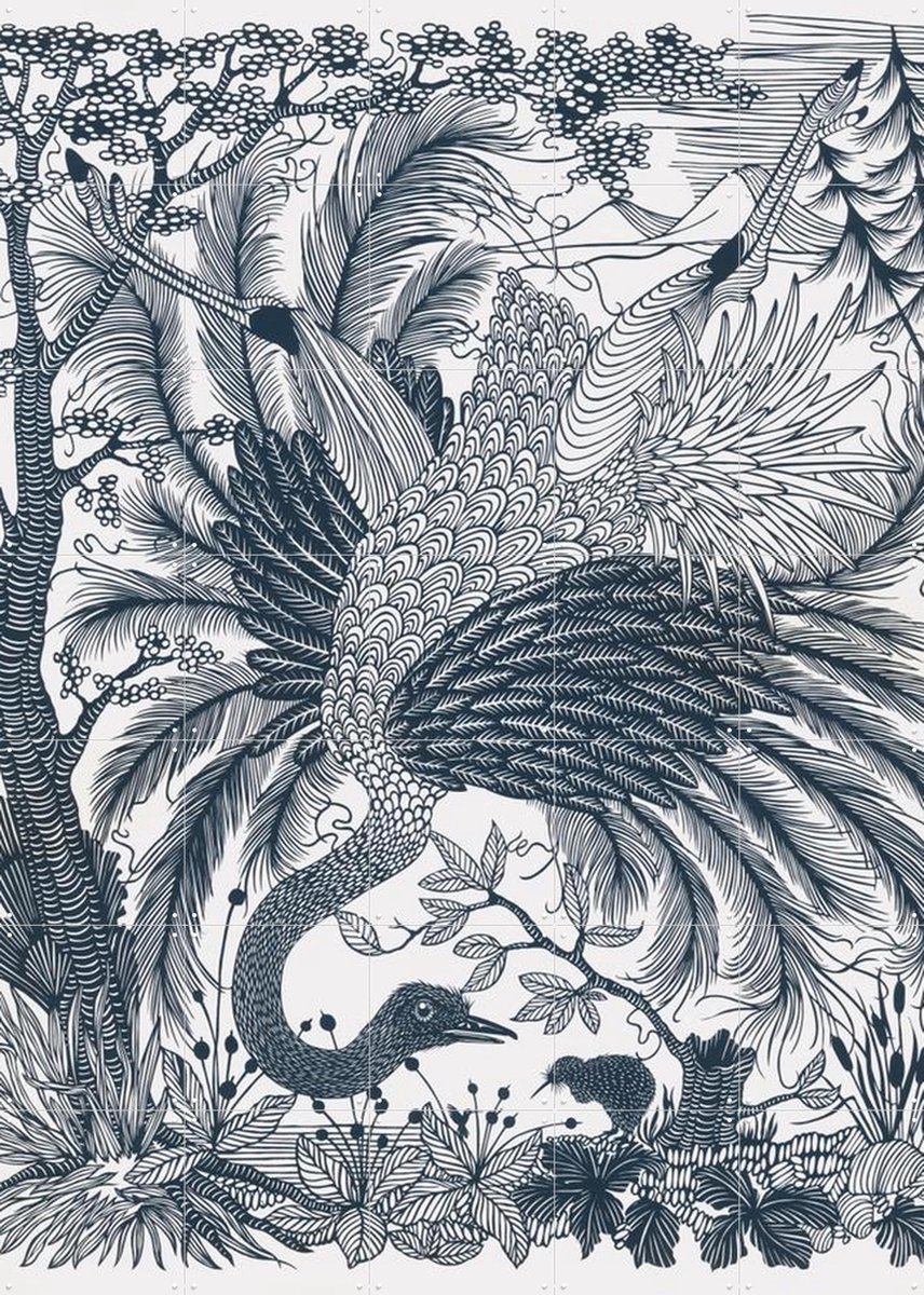 IXXI Ostrich, Geertje Aalders - 100 x 140 cm - Gratis ophangtool - Grote wanddecoratie en posters - Illustraties, Houtsnede, Line art, Woonkamer