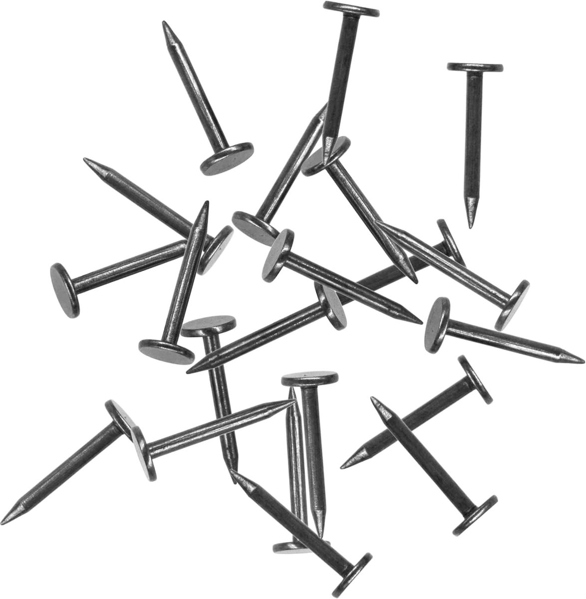 Fotoophangspijkers - Zwart - 16 mm - Stalen Meubelspijkers - Voor Foto's en Decoraties