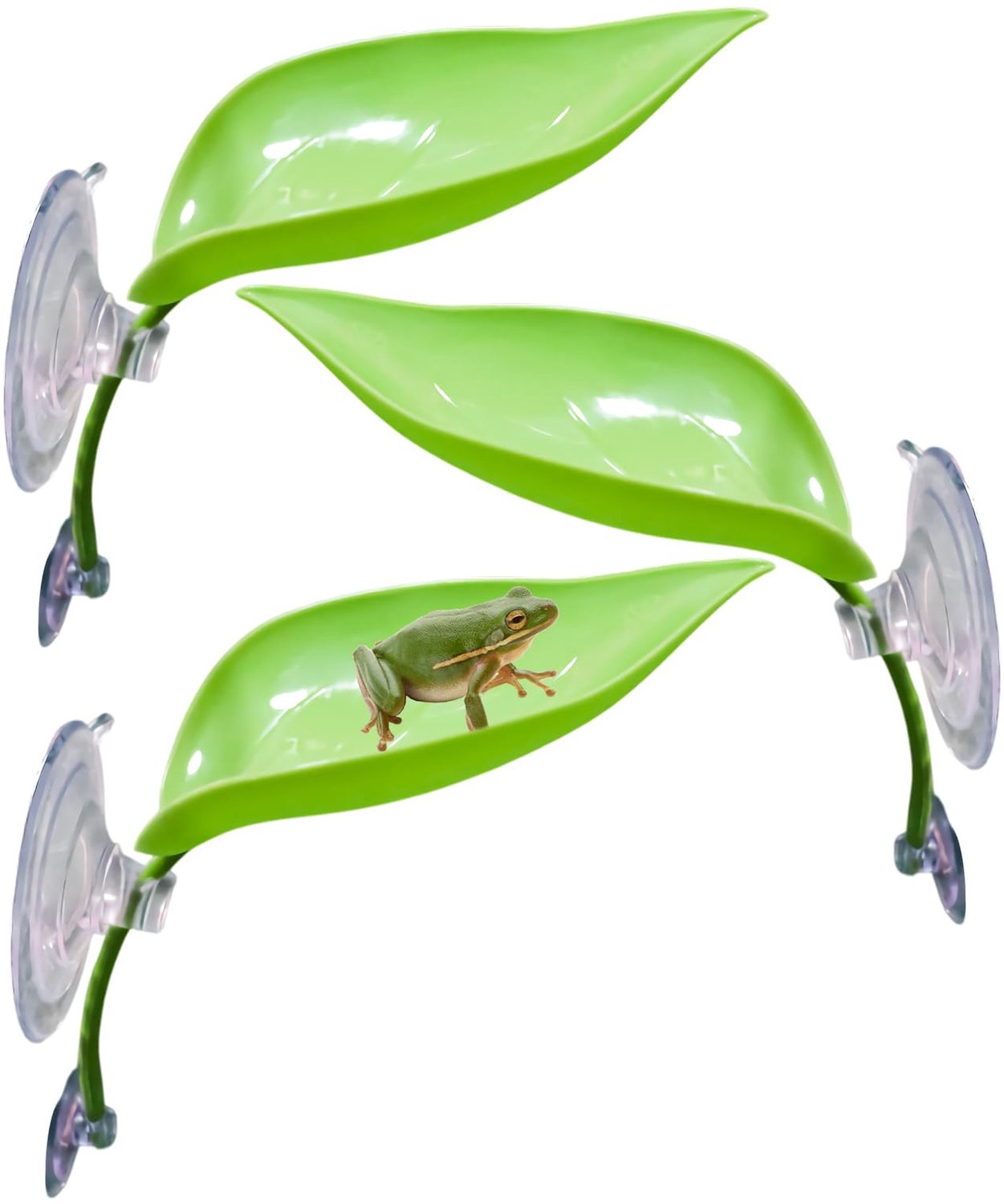 3 Stuks Plastic Bladdecoraties met Zuignappen - Voor de Terrarium van Uw Kikker