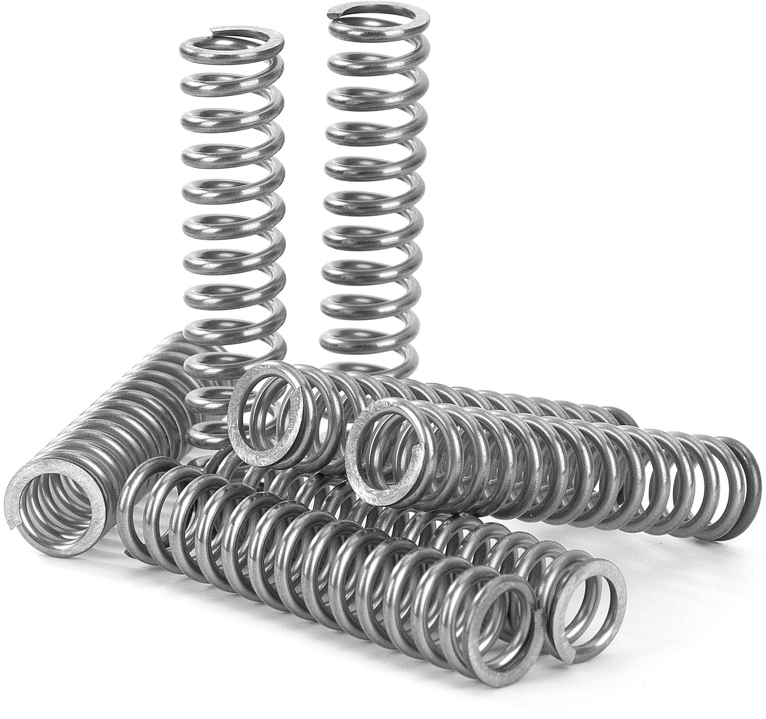 Set van 10 Compressieveren van Roestvrij Staal 45 mm