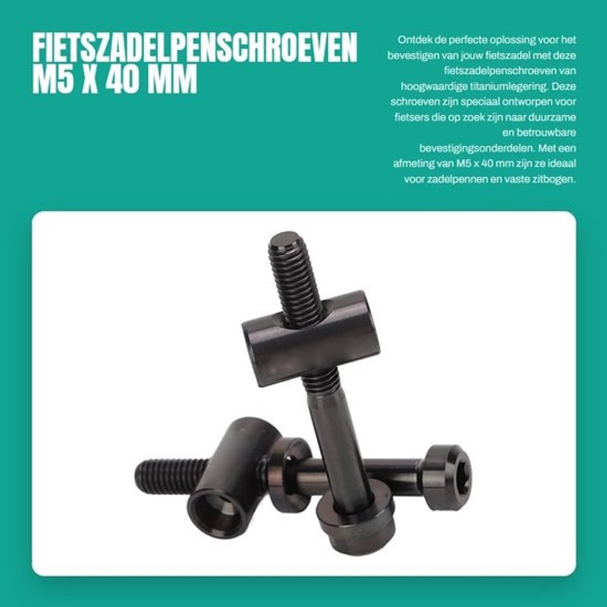 Dailygoods-fietszadelpenschroeven - M5 x 40 mm - 2 stuks