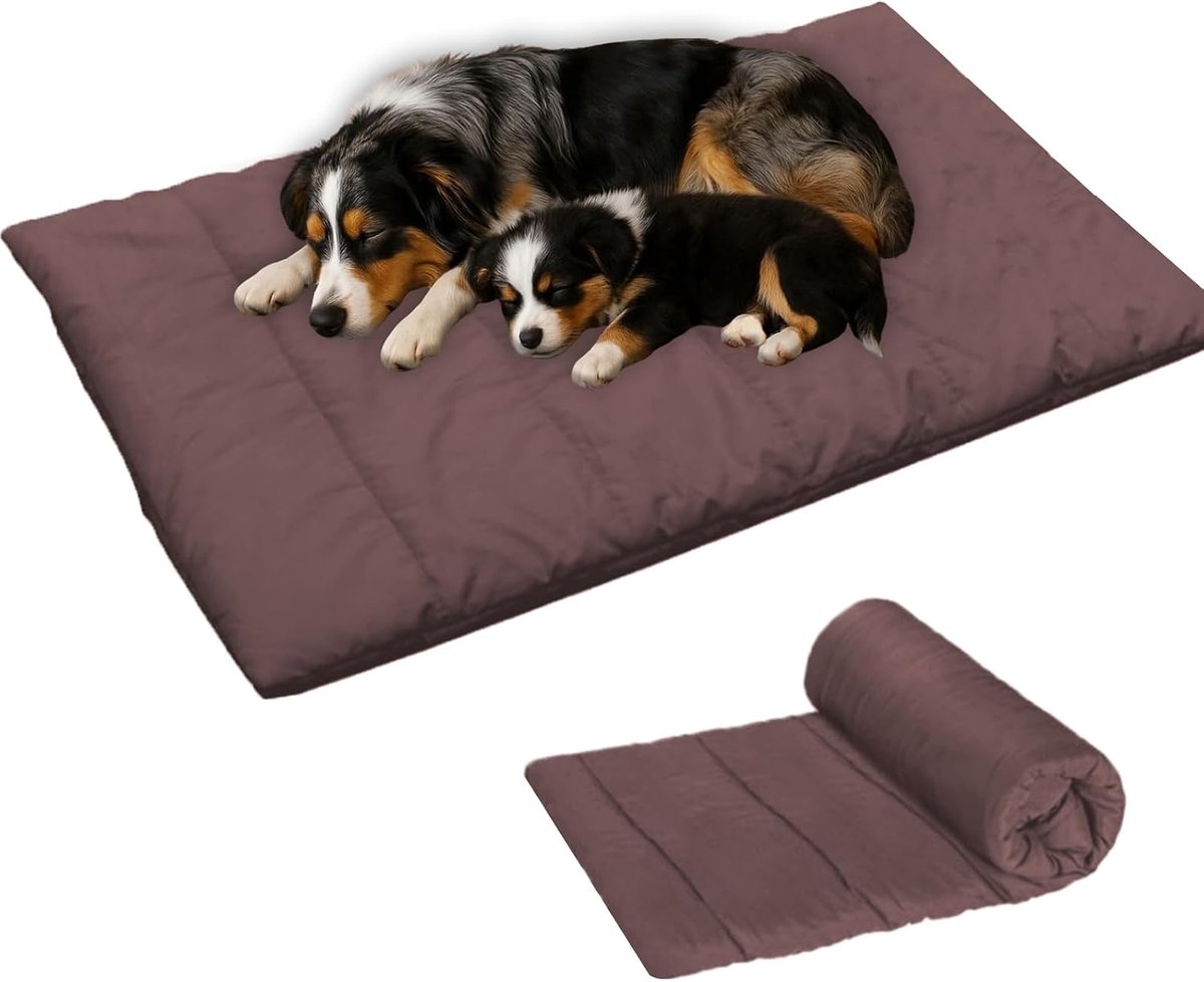 Waterdicht, hondendeken voor onderweg, waterdichte hondenmat, machinewasbaar hondenbed, voor buiten, reizen, laarzenbekleding, geschikt voor honden en katten, 110 x 68 cm