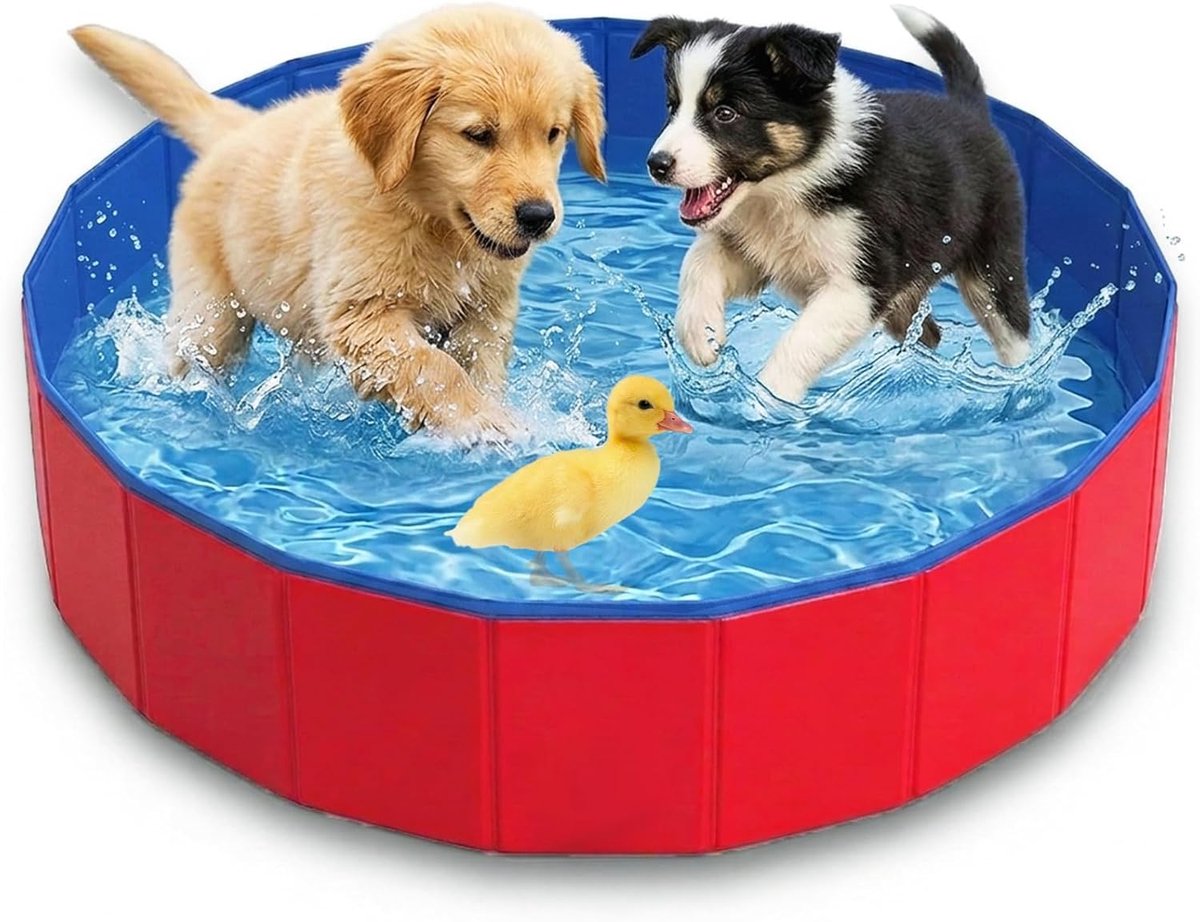 Hondenzwembad voor kleine honden, 50 x 8 cm, ballenbad voor honden, hondenzwembad, douche, hondenbadkuip katten, antislip, zwembad voor honden, verdikt