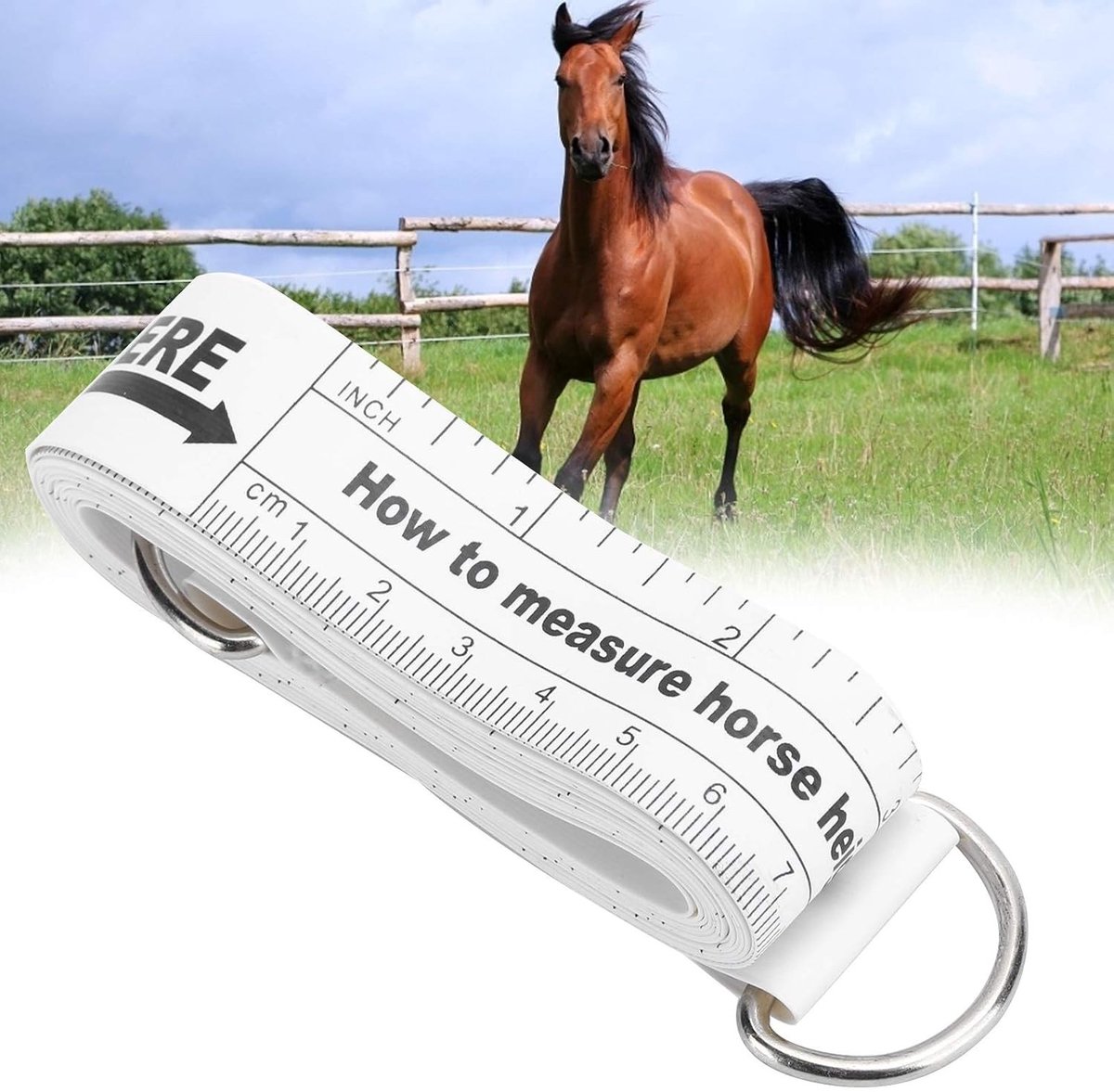 Nauwkeurige Dubbelzijdige Meetlint voor Paarden en Dieren - Meetband voor Borstomtrek en Gewicht