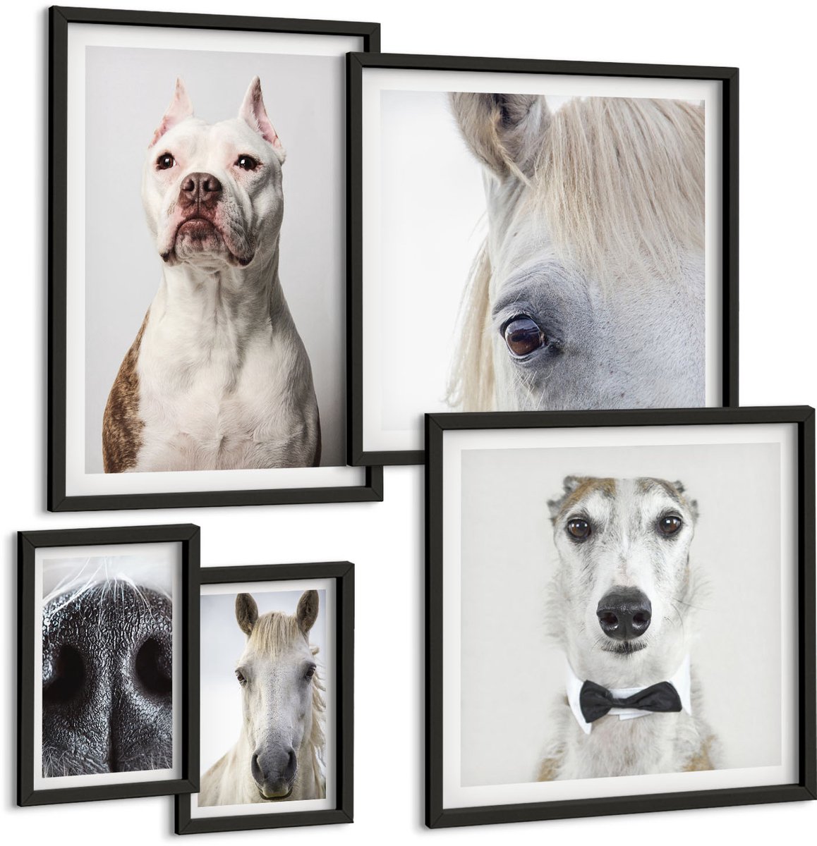 Coloray 5-Delige Schilderij Set - Huisdierportretten In Een Moderne Stijl - 50 x 50 cm, 20 x 30 cm En 40 x 60 cm - Wanddecoratie - Muurdecoratie - Woonkamer - Decoratieve Schilderijen Zwarte lijst