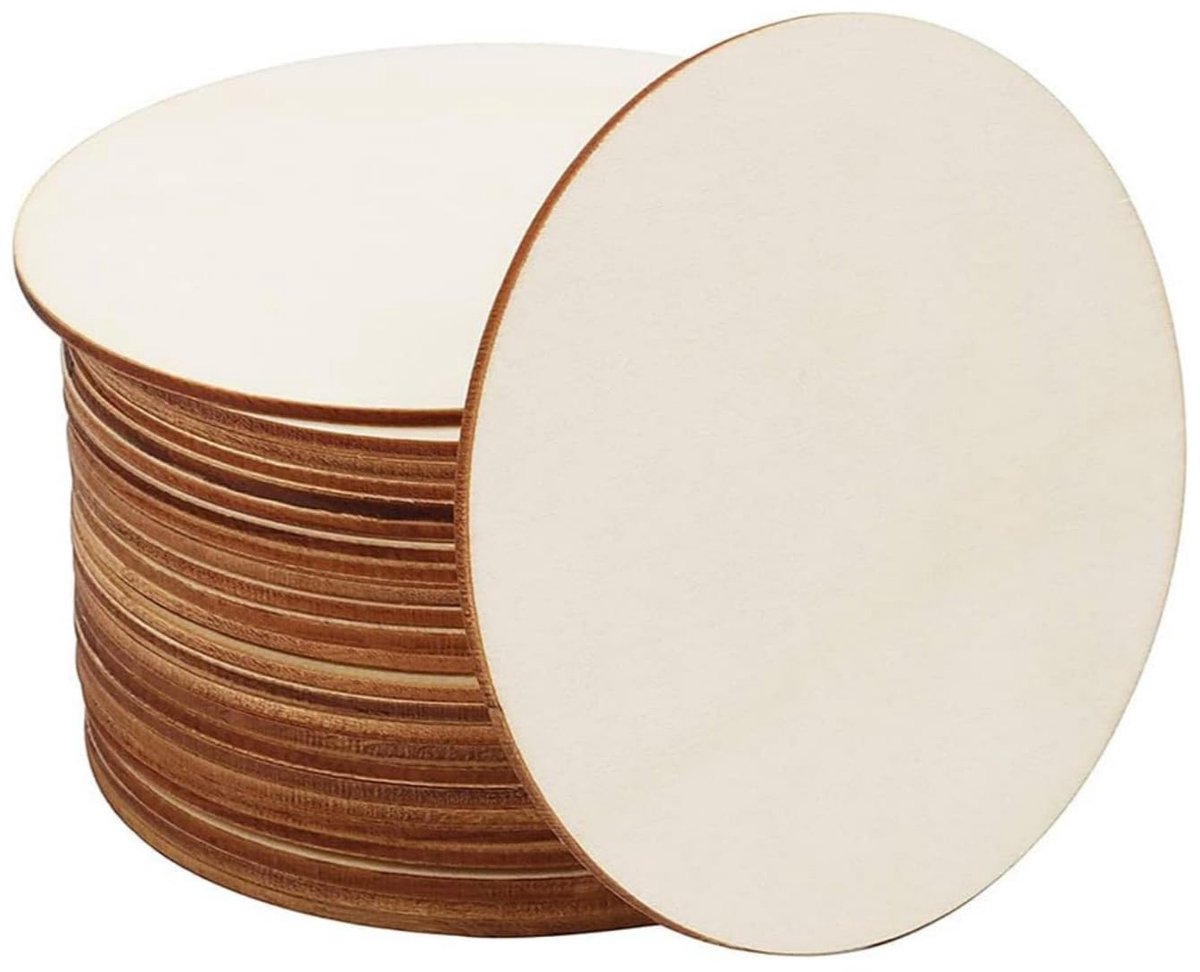 Katrol om gewichten te tillen - set van 2 stuks met M20 enkele rol van roestvrij staal - 20 mm - draaikraan haak - belasting tot 80 kg