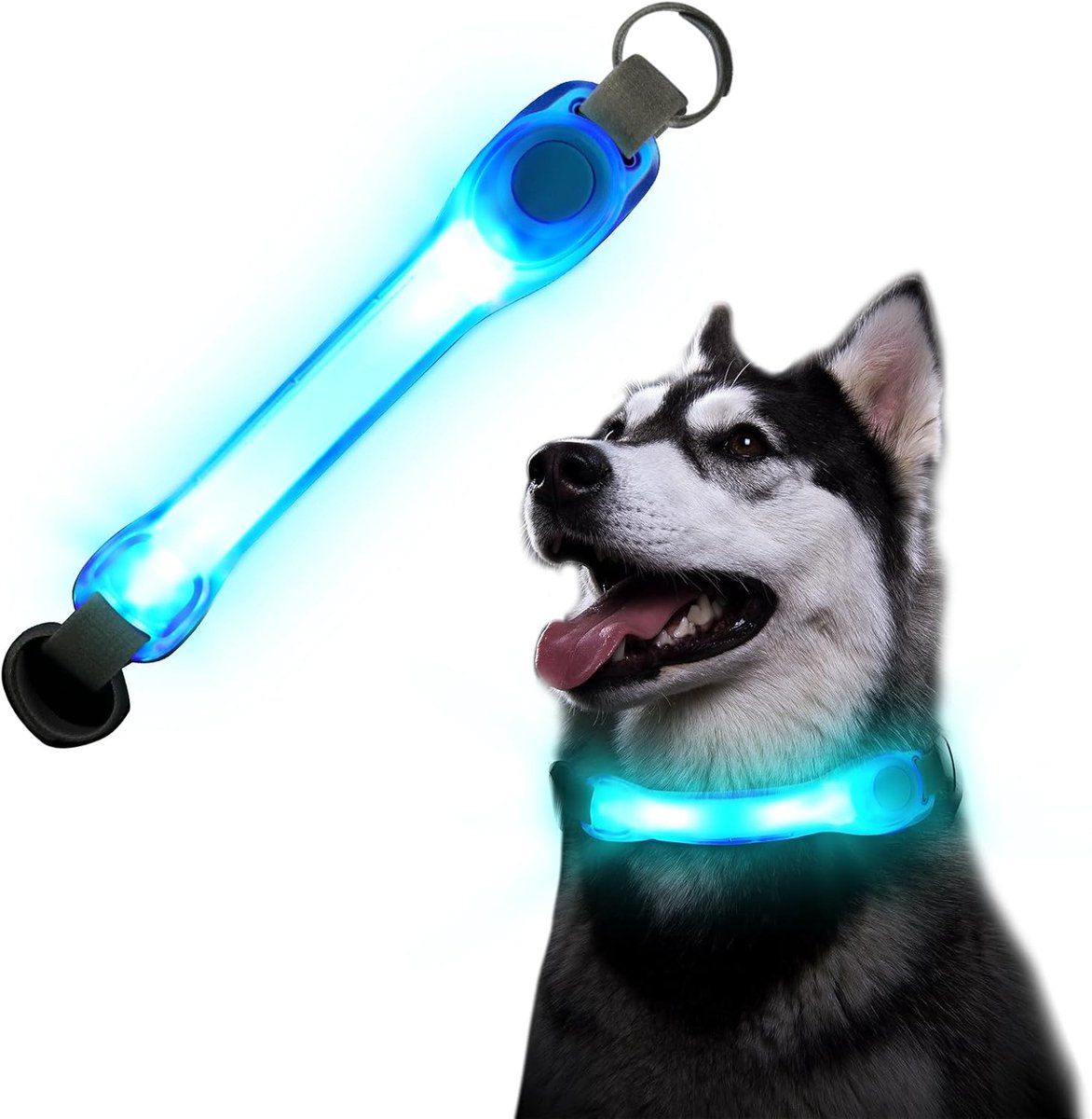Oplichtende halsbanden - LED-halsband voor honden - Veiligheid in het donker - Blauw - Reflecterende puppy halsband - Geschikt voor klein...
