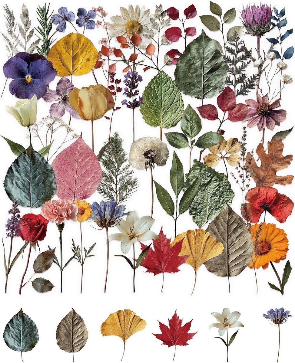 Vintage Aesthetic Droogbloemen Stickers voor Scrapbook, Laptop en Fiets - Waterdichte Decoratie met Plant Motieven en Bloemenslices