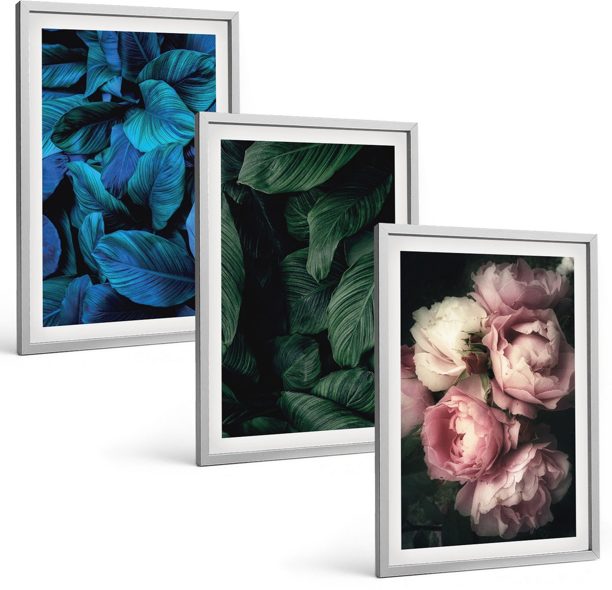 Coloray 3-Delige Schilderij Set - Bladeren En Bloemen In Verschillende Kleuren - 40 x 60 cm - Decoratieve Muurdecoratie - Slaapkamer - Decoratieve Schilderijen