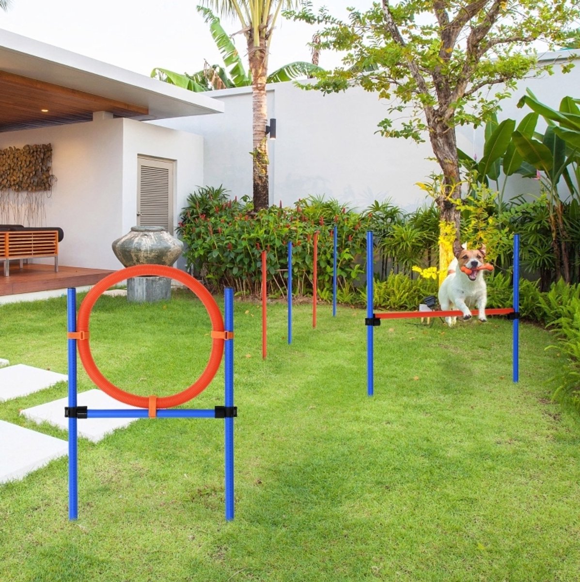 MODFU - Honden Agility Set - Slalom, Horde En Springring - Verstelbaar - Polyethyleen - Blauw