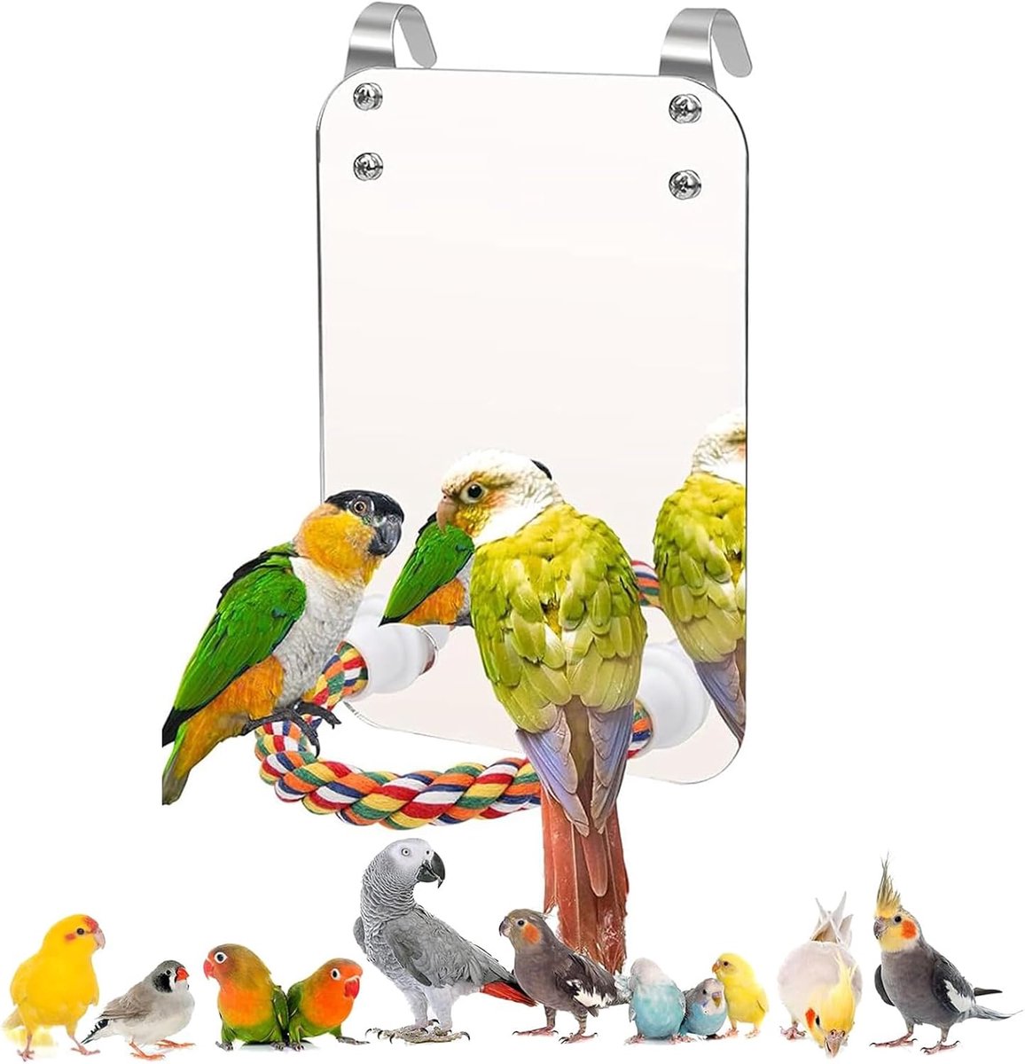 Speelgoed, acryl spiegel met zitstang en vogelkooi-standaard met touw voor papegaaien, acryl vogelspeelgoed voor grijze papegaaien, sittiche, valkparkieten en vogels