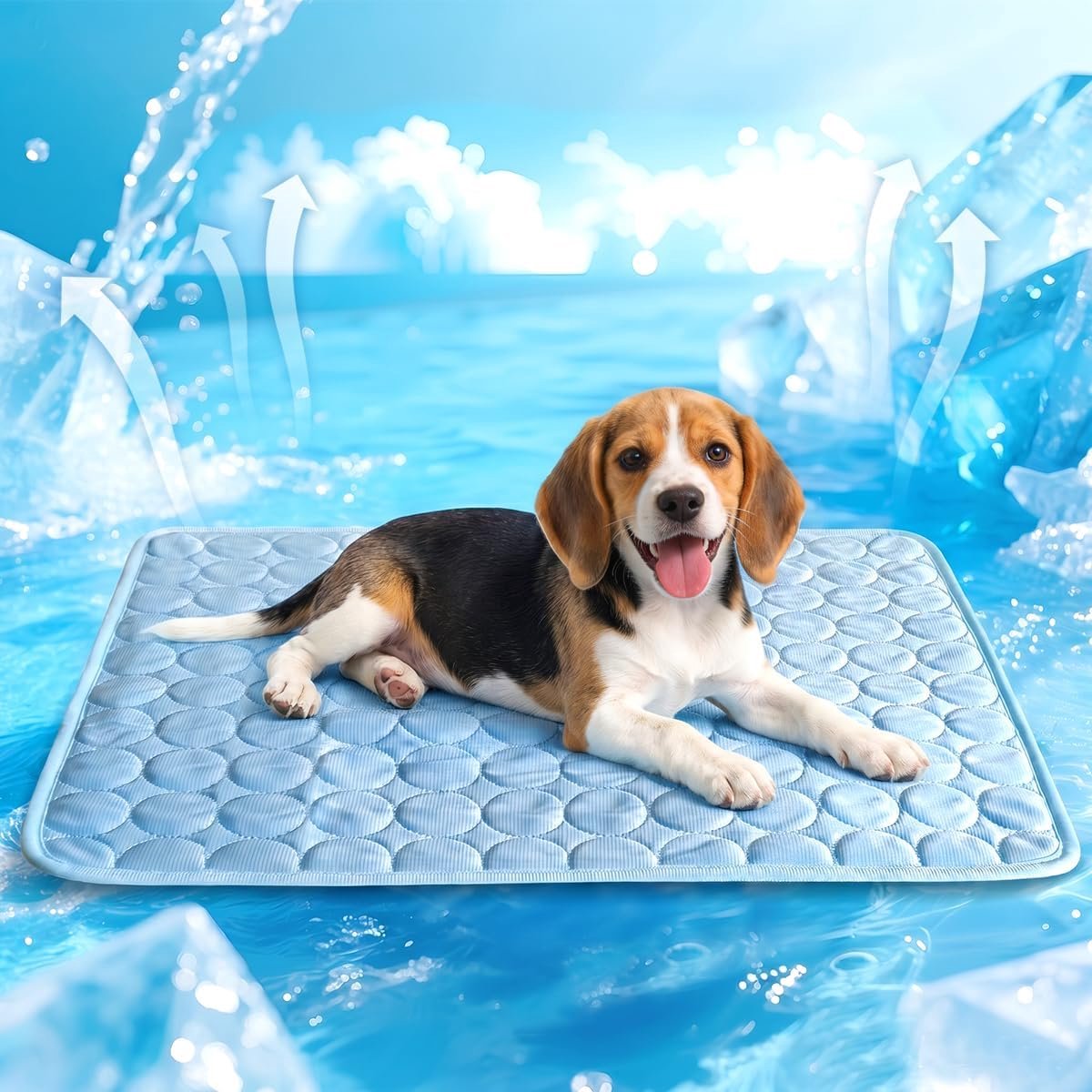 Koelmat voor katten, zelfkoelende mat, koeldeken, hond, huisdieren, hondendeken, antislip, slaapbed, wasbaar, ademend, koelkussen, zomer, warm weer, 60 x 51 cm (blauw)