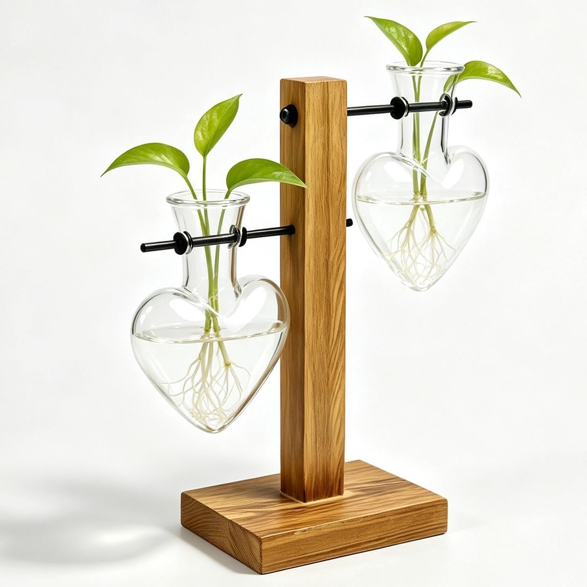 Plantenschotel glas