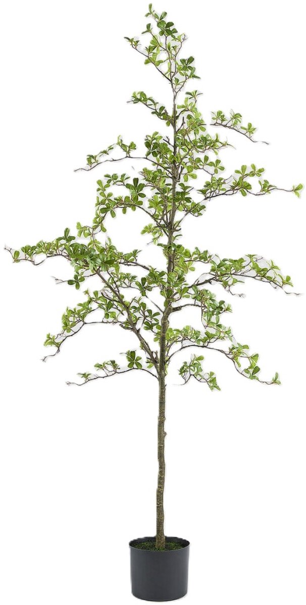 EDG - Kunstplant - groen - D30 x H213 cm