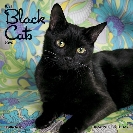 Zwarte Katten Kalender 2020 Mini | bol.com