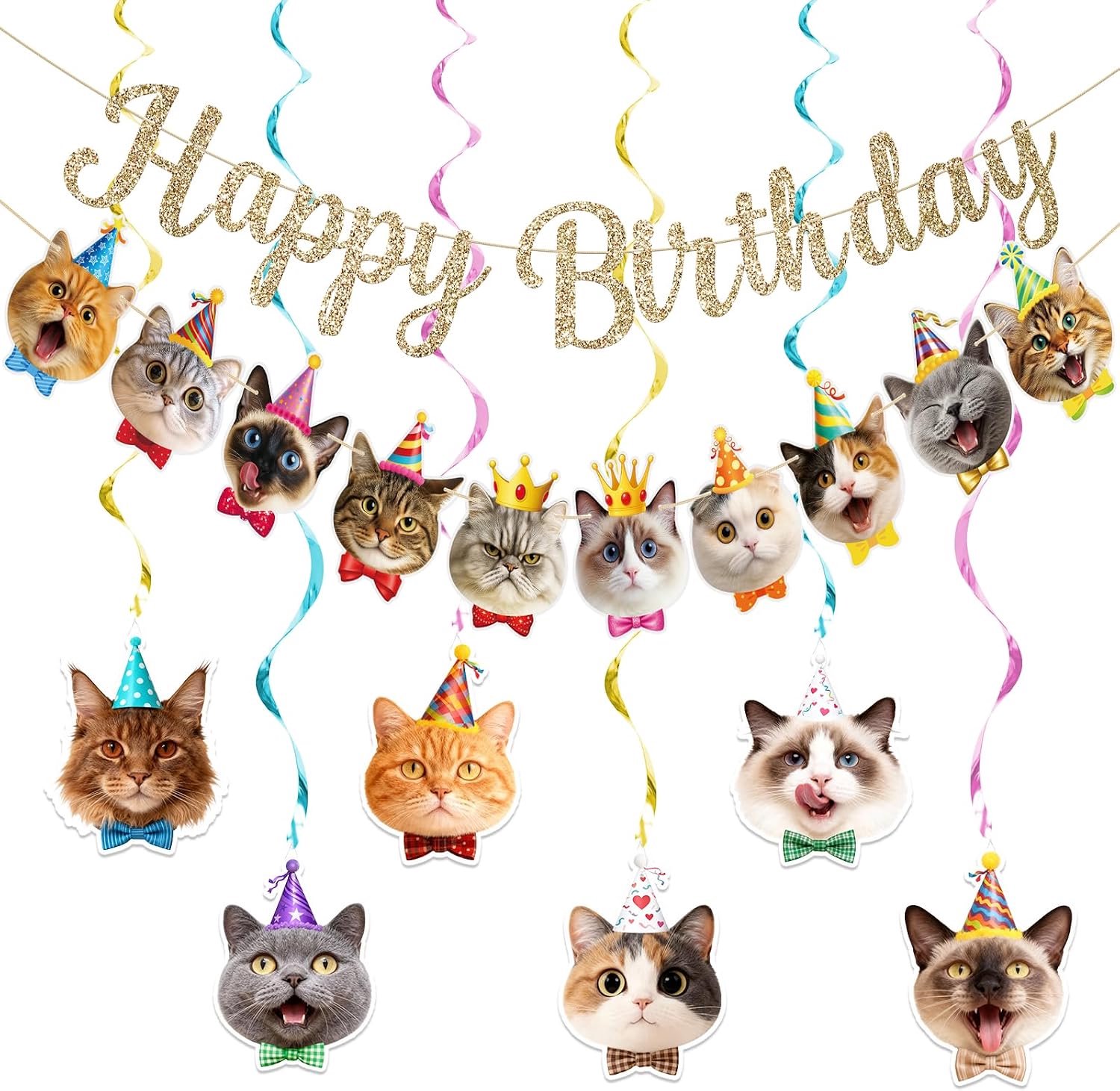 Katten Verjaardagsbanner Vooraf Gecombineerd Kattenfeest Versiering Geen Doe-Het-Zelf Gouden Glitter Verjaardagsbord Hangende Swirls Voor Vrouwen Mannen Verjaa