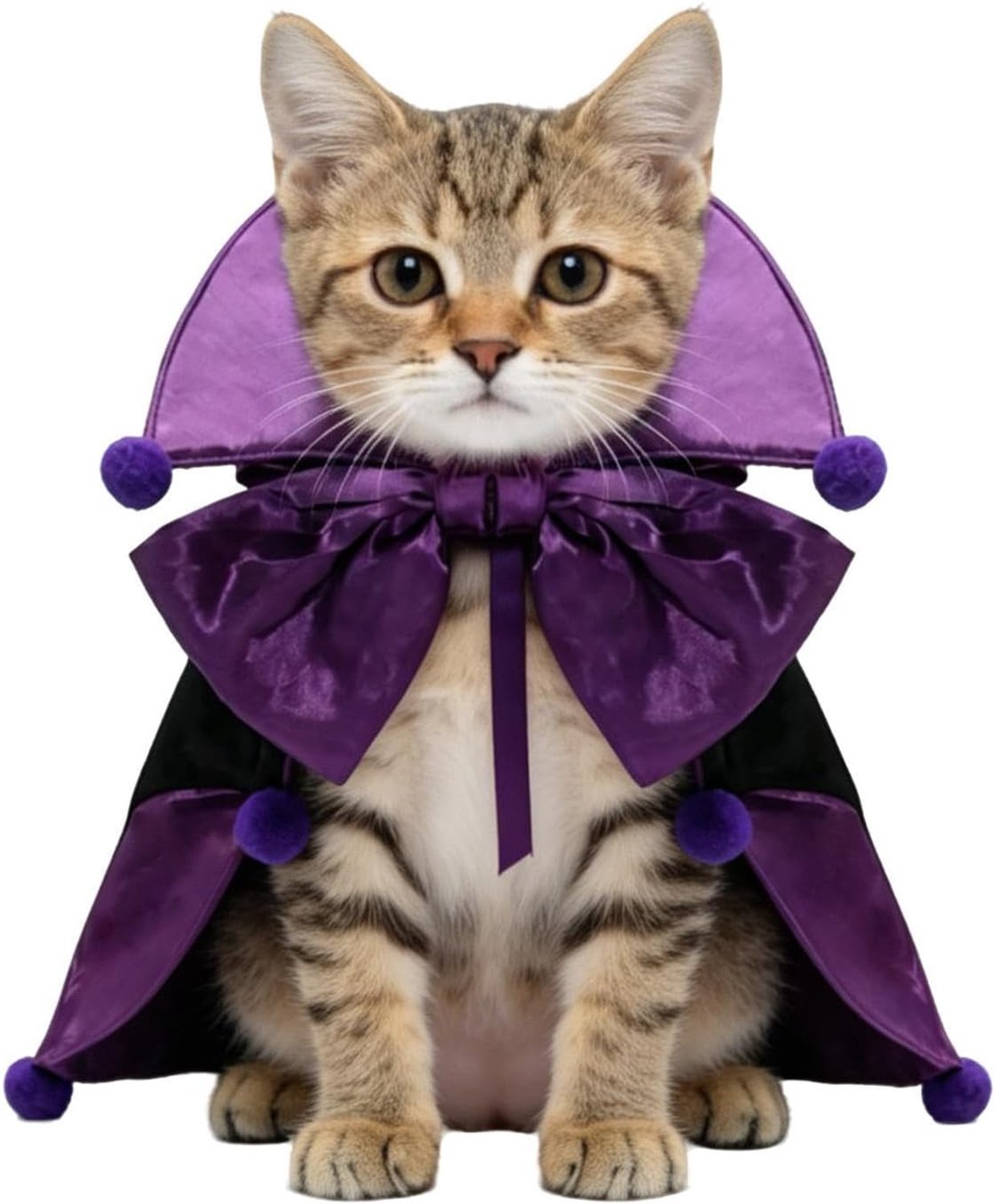 Vampier-hondenkostuum, Halloween-cosplay-cape, hondenoutfit