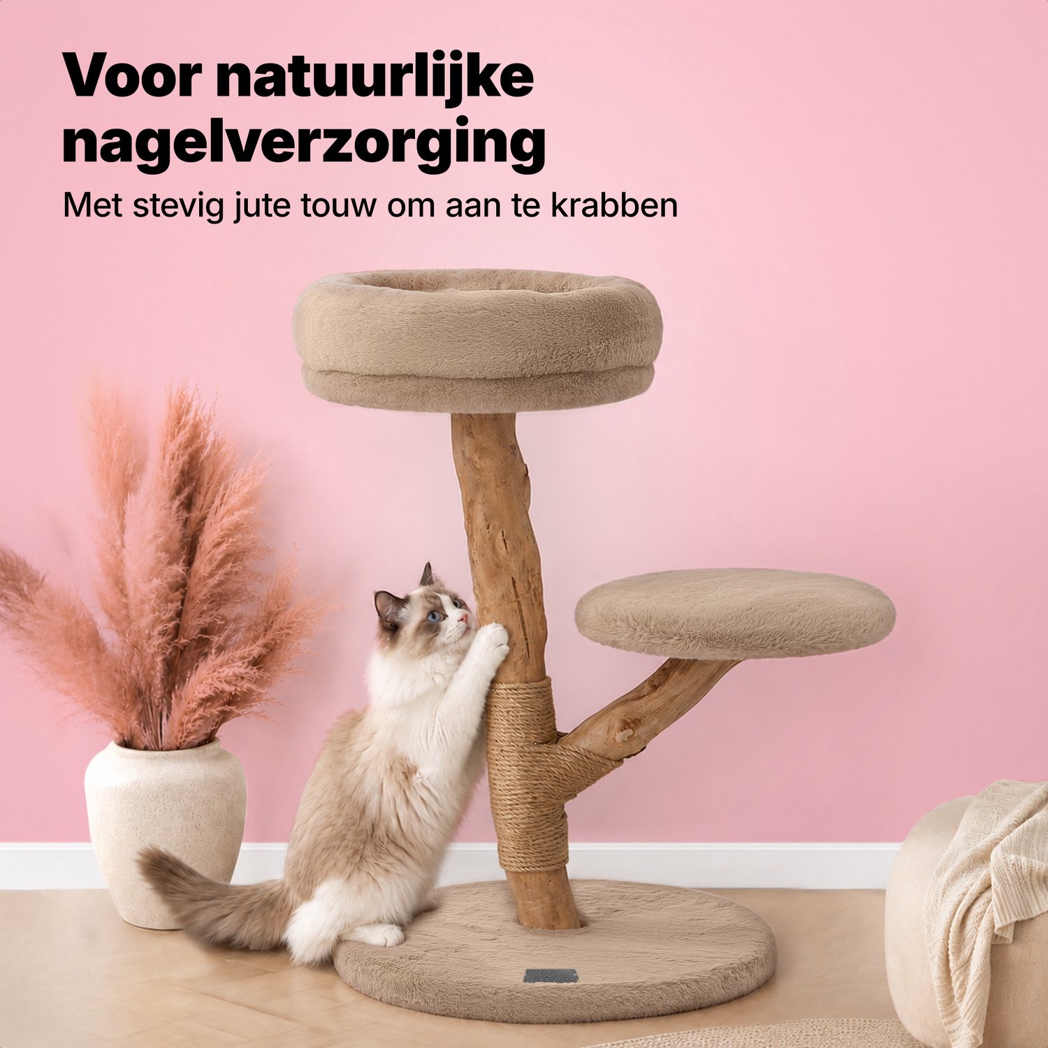 Jake Jake and Jacky Krabpaal Katten - afbeelding 4