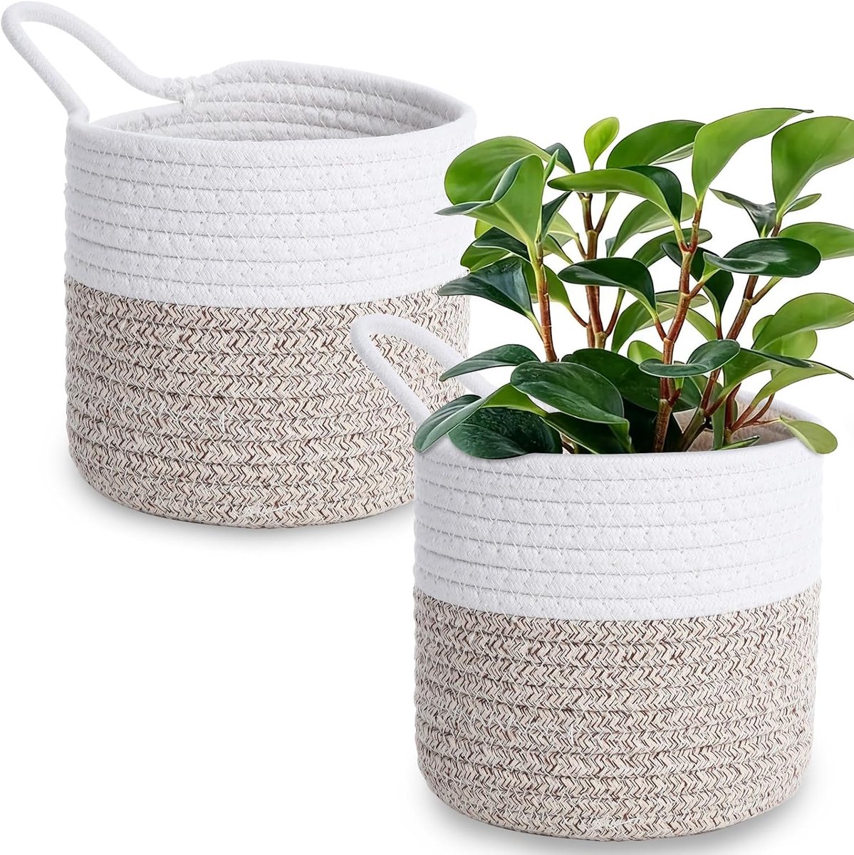 2 stuks hangmand, wandmand, hangende katoenen touwvlechtjes met handgreep, 15 x 16 cm, opbergmand, mand om op te hangen, voor keuken, badkamer, slaapkamer, woonkamer