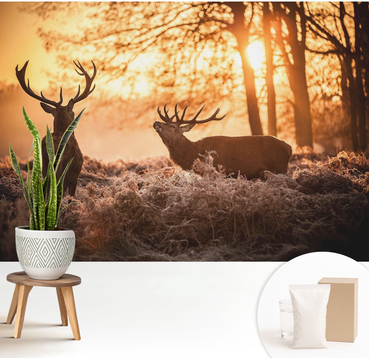 Wallfluent Fotobehang - Oranje Vliesbehang - 208x146 cm - Herten In De Ochtend Muurschildering - Slaapkamer behang Dieren - Fotobehang Vlies - Slaapkamer behang
