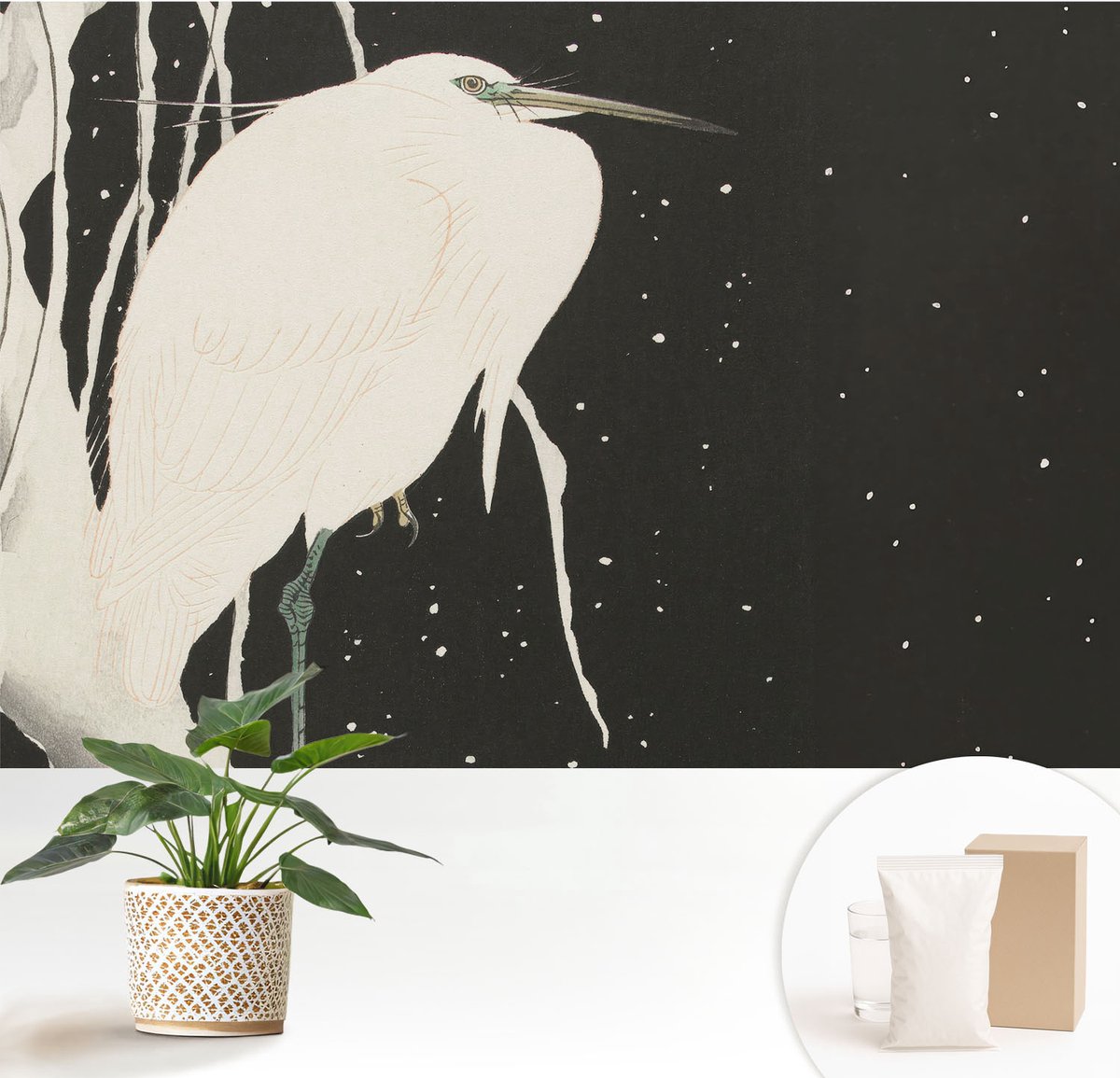 Wallfluent Fotobehang - Wit Vliesbehang - 152x104 cm - Wintervogel Fotobehang Vlies - Hal behang Dieren - Muurschildering - Woonkamer behang