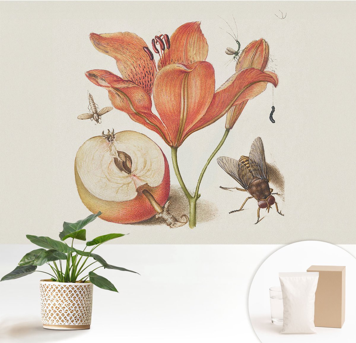 Wallfluent Fotobehang - Romig Vliesbehang - 152x104 cm - Botanische Illustratie Fotobehang Vlies - Woonkamer behang Bloemen En Planten - Muurschildering - Hal behang
