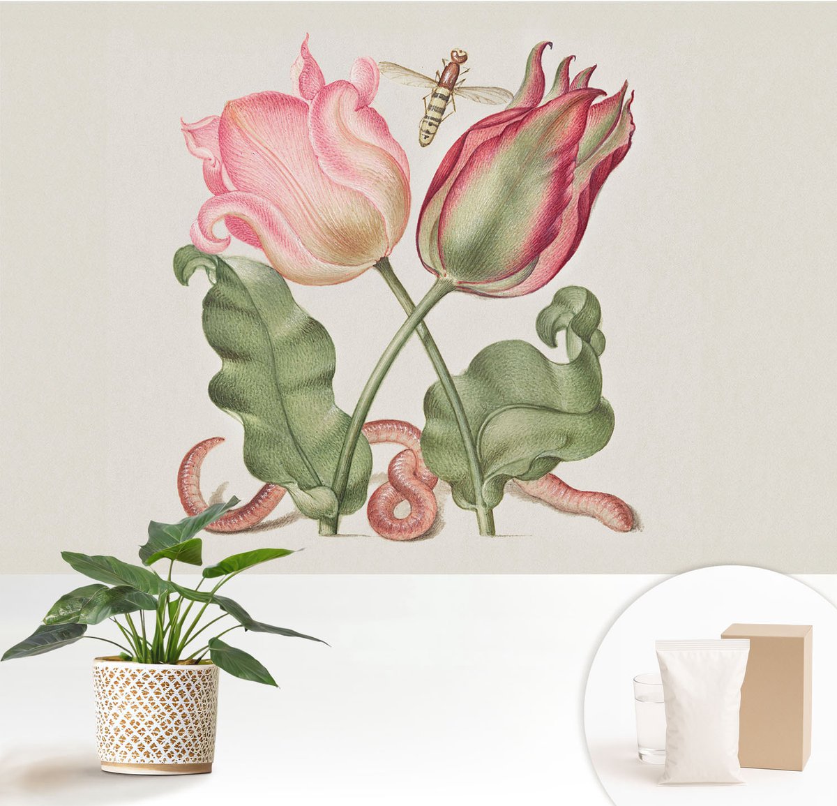 Wallfluent Fotobehang - Romig Vliesbehang - 152x104 cm - Tulpen Schoonheid Fotobehang Vlies - Hal behang Bloemen En Planten - Muurschildering - Woonkamer behang