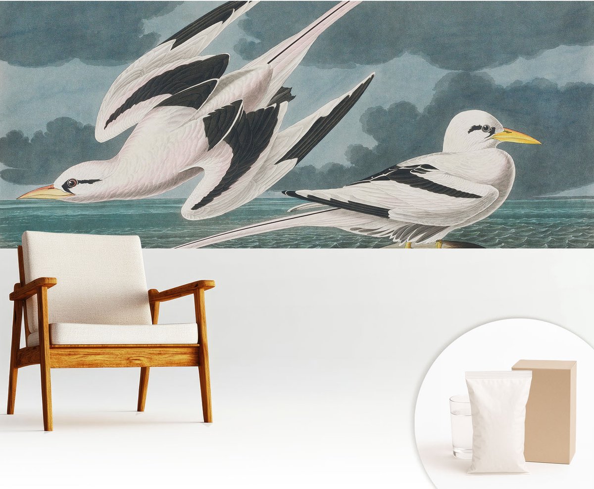 Wallfluent Fotobehang - Grijs Vliesbehang - 250x104 cm - Vogels Aan Zee Muurschildering - Gang behang Dieren - Fotobehang Vlies - Gang behang