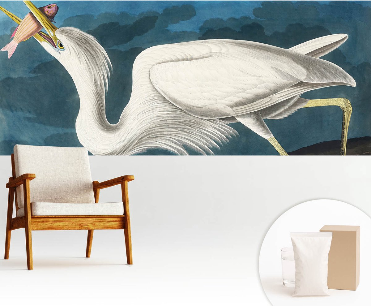Wallfluent Fotobehang - Wit Vliesbehang - 250x104 cm - Vogel Met Vis Muurschildering - Slaapkamer behang Dieren - Fotobehang Vlies - Slaapkamer behang