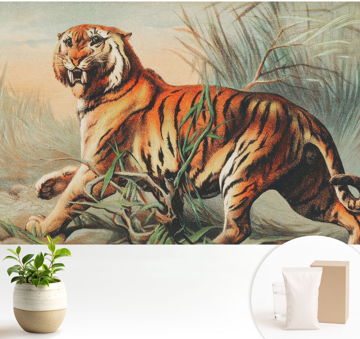 Wallfluent Fotobehang - Oranje Vliesbehang - 104x70 cm - Tijger Natuur Muurschildering - Gang behang Dieren - Fotobehang Vlies - Gang behang