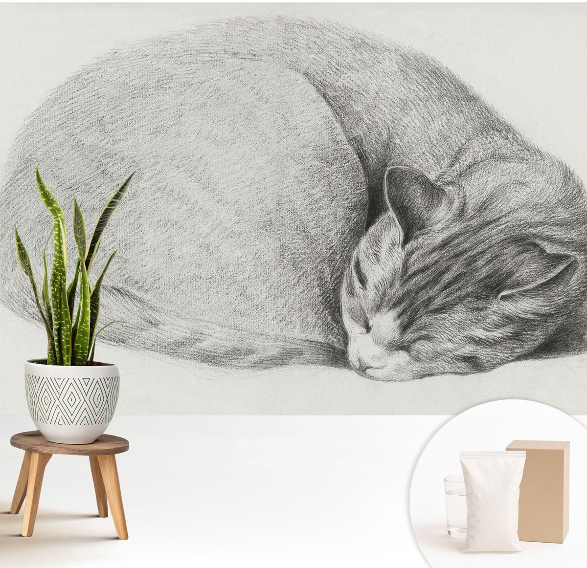 Wallfluent Fotobehang - Grijs Vliesbehang - 208x146 cm - Opgerolde Kat Muurschildering - Gang behang Dieren - Fotobehang Vlies - Gang behang