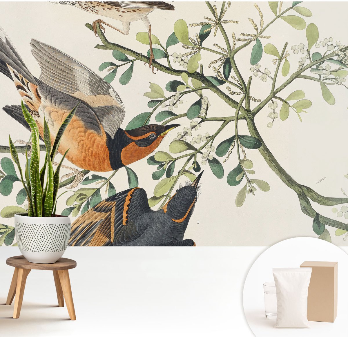 Wallfluent Fotobehang - Wit Vliesbehang - 208x146 cm - Kleurrijke Vogels Muurschildering - Slaapkamer behang Dieren - Fotobehang Vlies - Slaapkamer behang