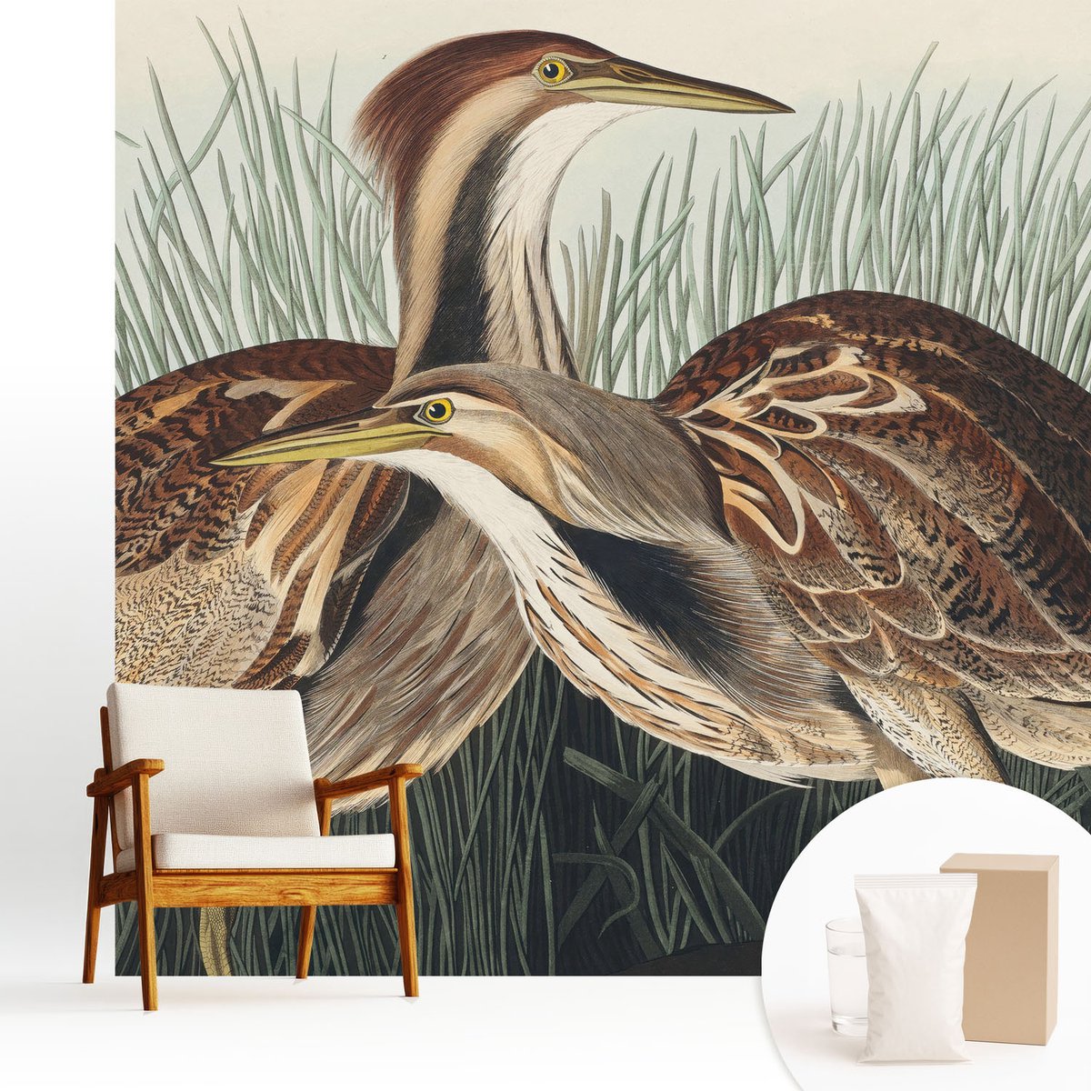 Wallfluent Fotobehang - Bruin Vliesbehang - 250x250 cm - Realistische Vogels Muurschildering - Gang behang Dieren - Fotobehang Vlies - Slaapkamer behang