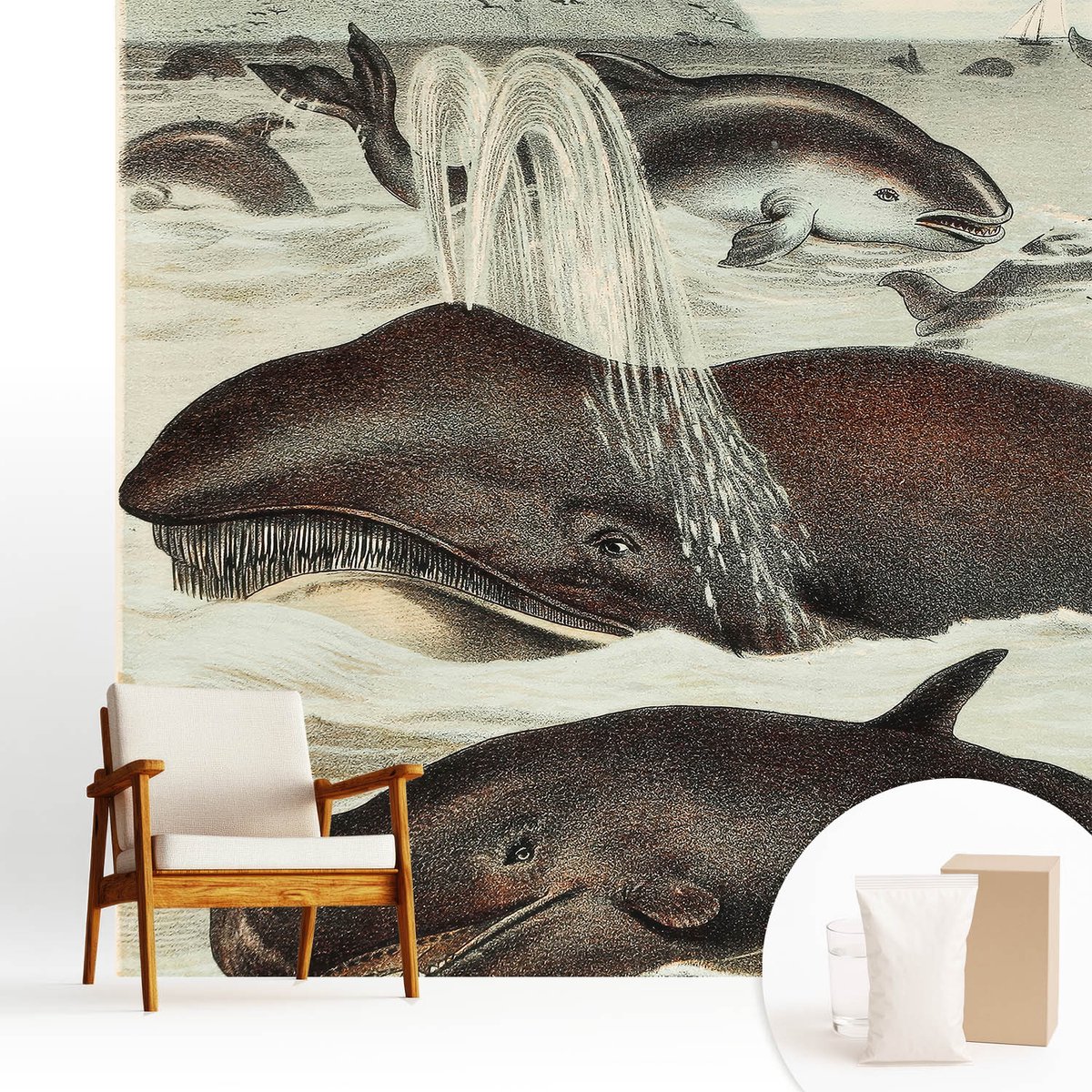 Wallfluent Fotobehang - Bruin Vliesbehang - 250x250 cm - Zeedieren Fotobehang Vlies - Woonkamer behang Dieren - Muurschildering - Hal behang