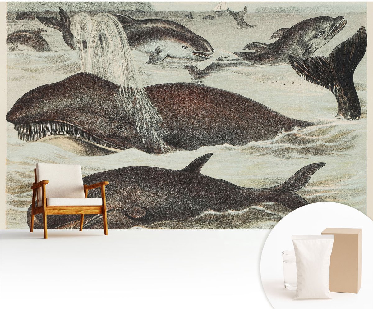 Wallfluent Fotobehang - Bruin Vliesbehang - 416x254 cm - Zeedieren Fotobehang Vlies - Woonkamer behang Dieren - Muurschildering - Hal behang