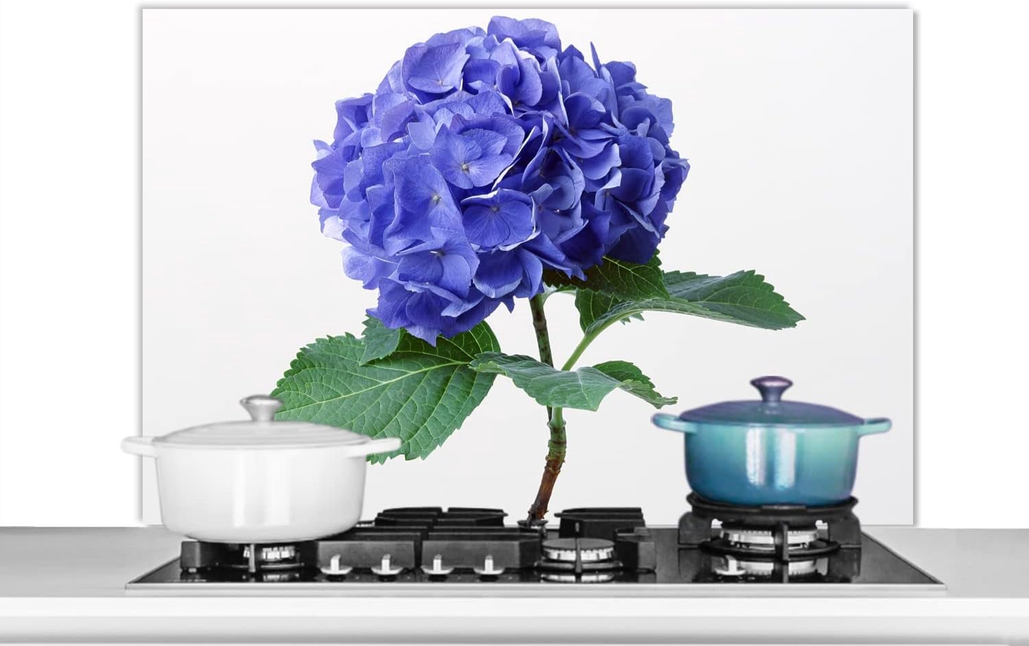 Spatscherm Keuken - 100x65 cm - Hortensia blauw