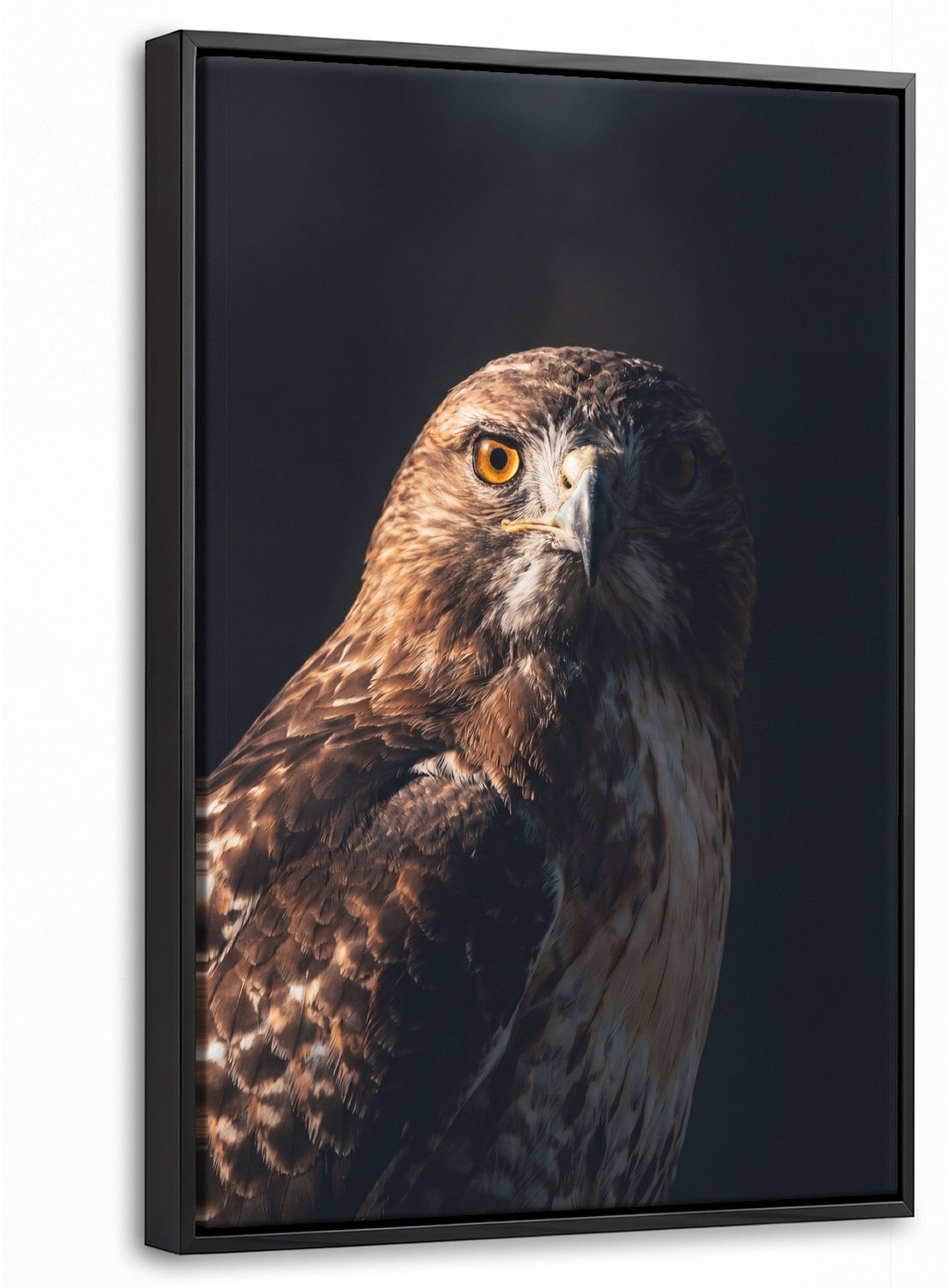 Canvas Schilderij met Baklijst 40x60cm - Roofvogel - Buizerd - Bruin - Muurdecoratie woonkamer - Slaapkamer decoratie - Kamer accessoires - Schilderijen op canvas met lijst
