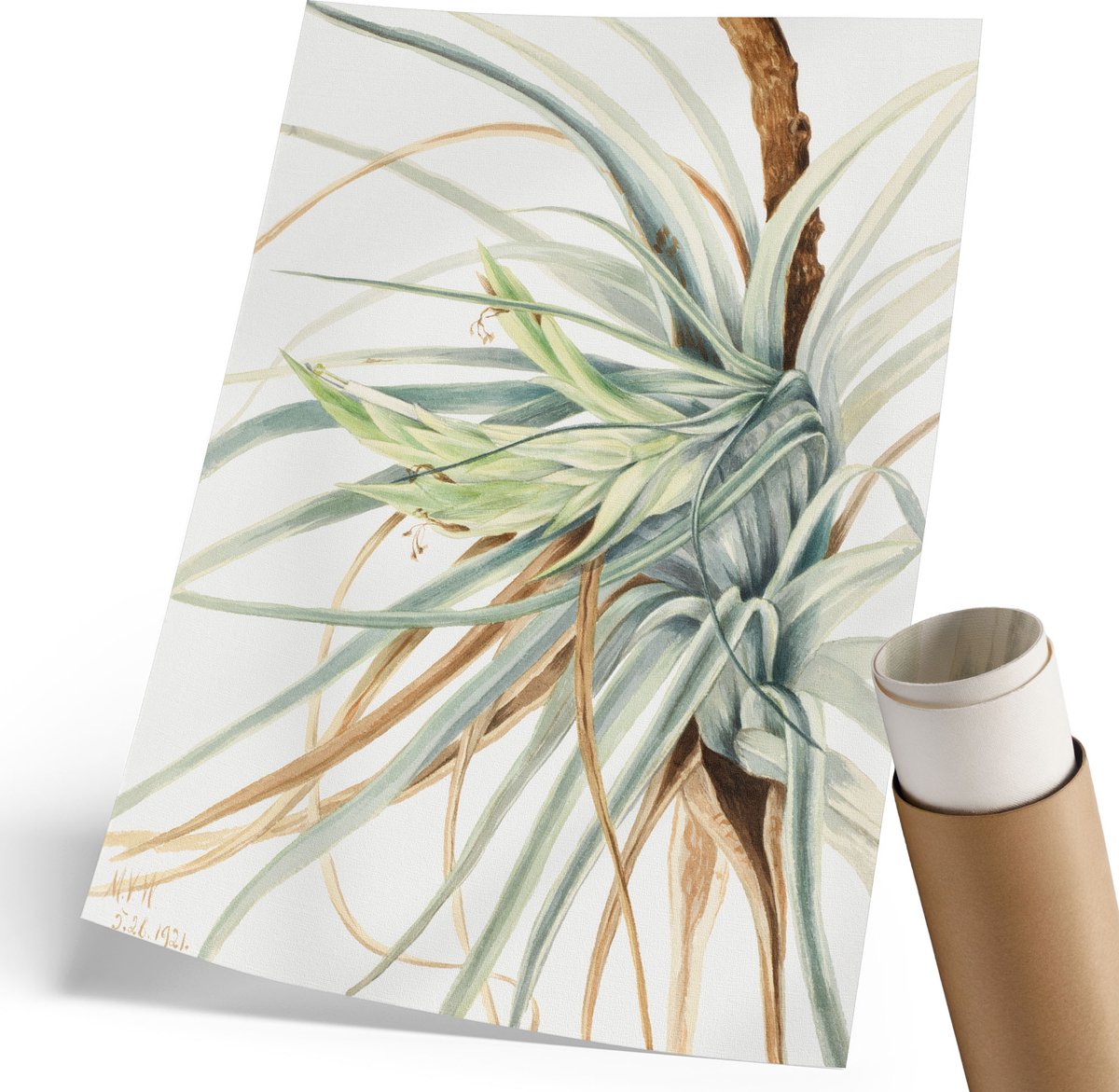 Coloray Polycanvas Poster - Wilde Ananas, Waterverf - 210 x 297 mm - Wit Wandposter - Rechthoek - Kunstposter - Woonkamer, Slaapkamer, Kantoor - Klassiek
