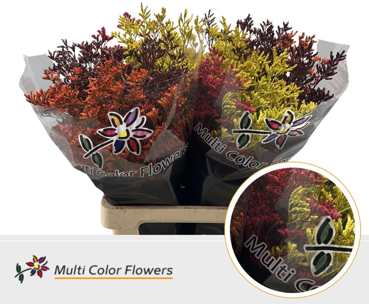25x Lim. herfst mix 70cm