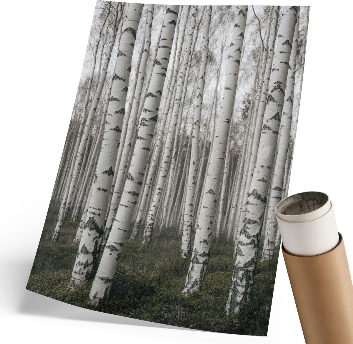 Coloray Polycanvas Poster - Winterafdaling, Wit - 210 x 297 mm - Zwart-wit Wandposter - Rechthoek - Muurdecoratie - Woonkamer - Klassiek