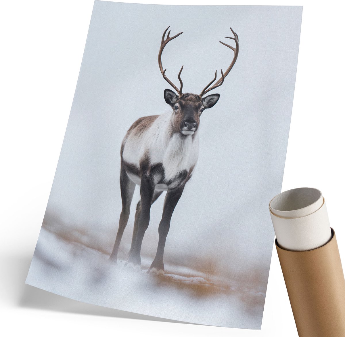 Coloray Polycanvas Wandposter - Winterrendieren, Fotografie - 210 x 297 mm - Wit Wanddecoratie - Rechthoek - Wandkunstwerk - Woonkamer, Slaapkamer, Kantoor - Modern
