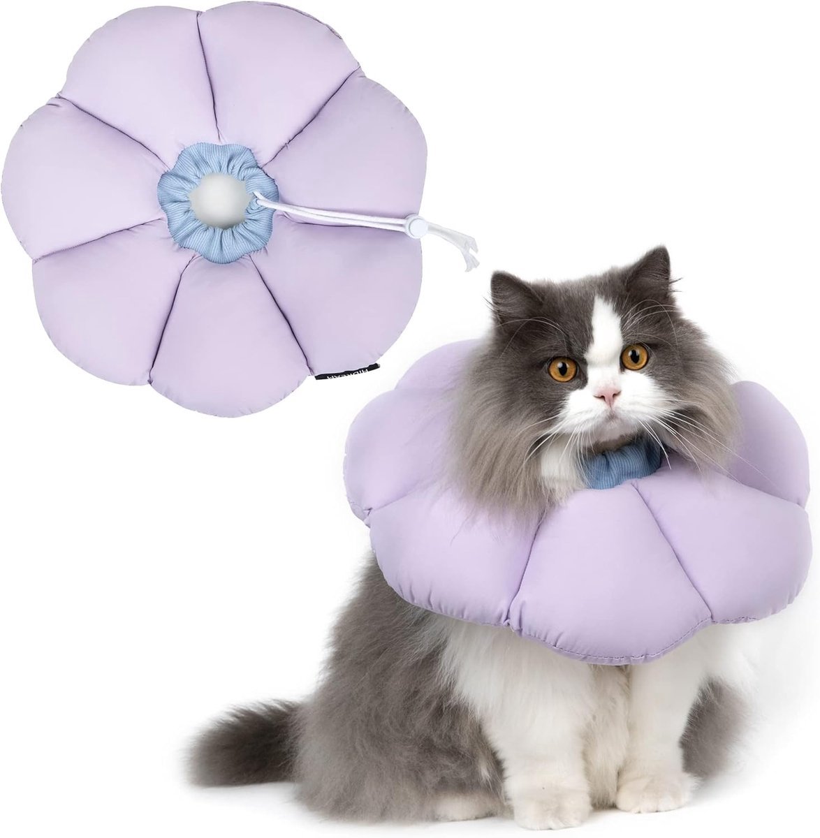 casalora - Beschermkraag Kat - Verstelbare Kattenkap - Voor Katten en Puppy's Na Een Operatie - Zachte Elizabethaanse Kattenkraag - Paars - Maat M