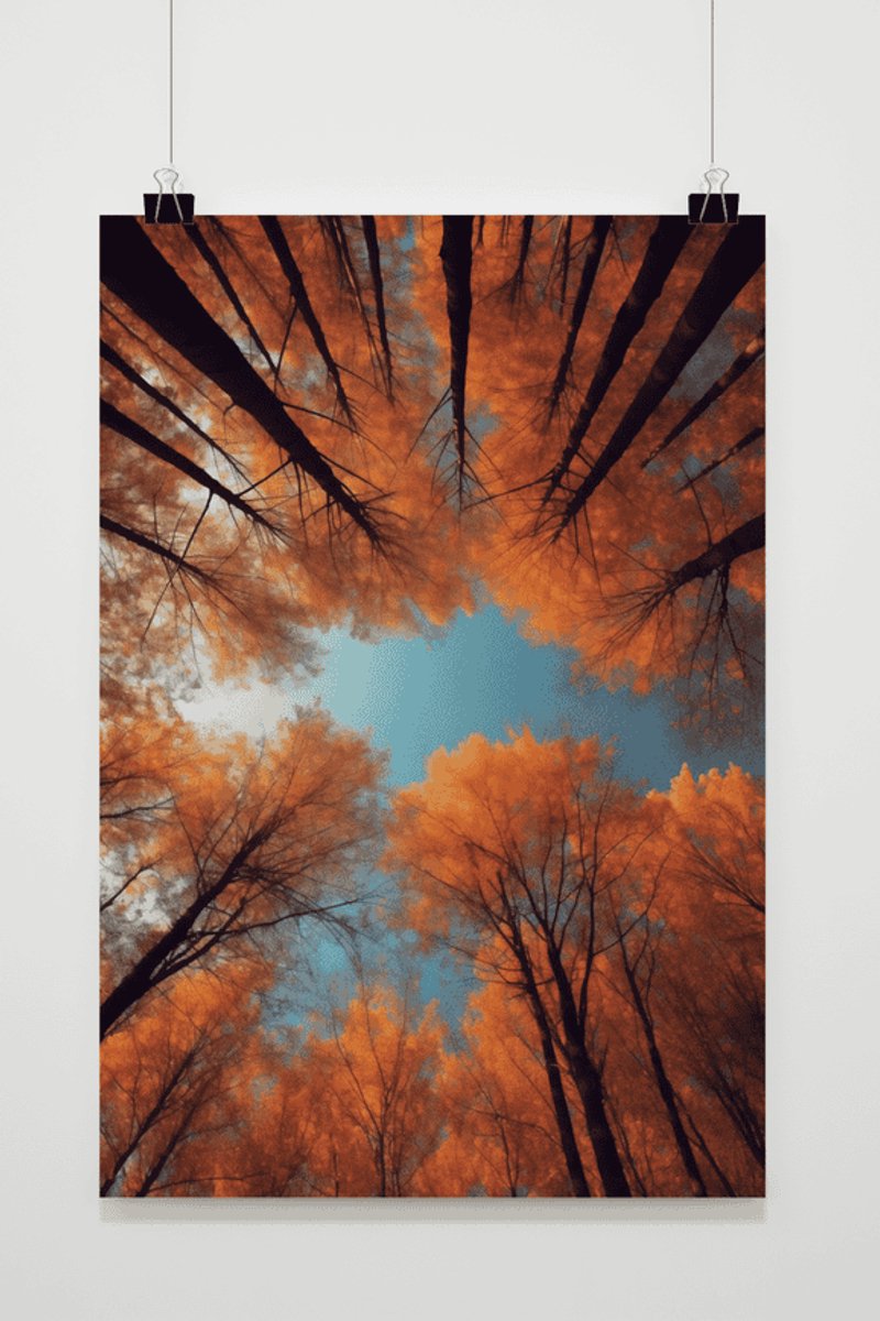 Poster Boomtoppen - Herfst - Natuur - van Bomen - Bos - posters - formaat 30x40cm - Wanddecoratie - XS1869YR