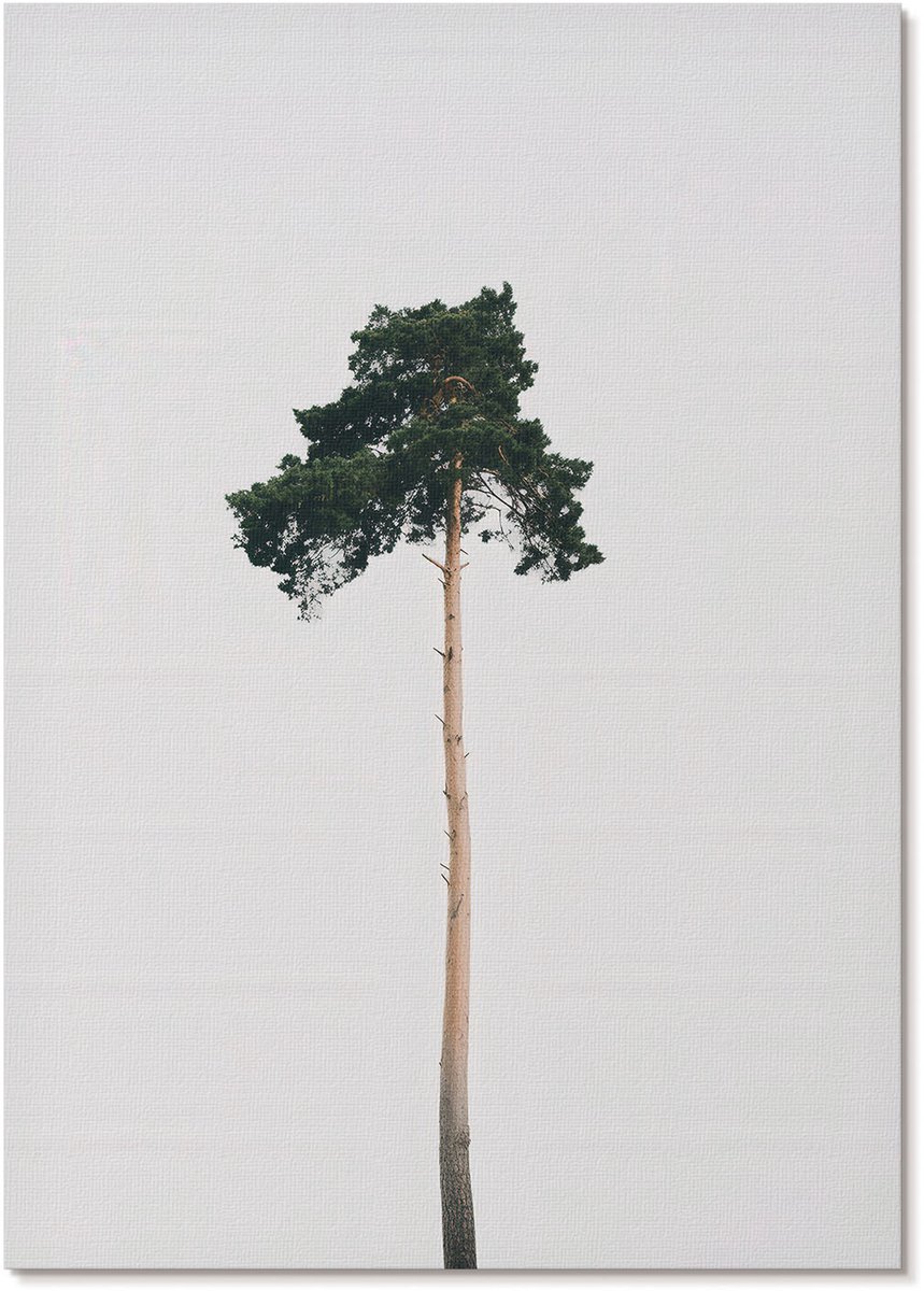 Tulup Polycanvas Poster - Eenzame Boom, Fotografie - A4 - Wit Wandposter - Rechthoek - Decoratieve poster - Woonkamer, Slaapkamer, Kantoor - Minimalist