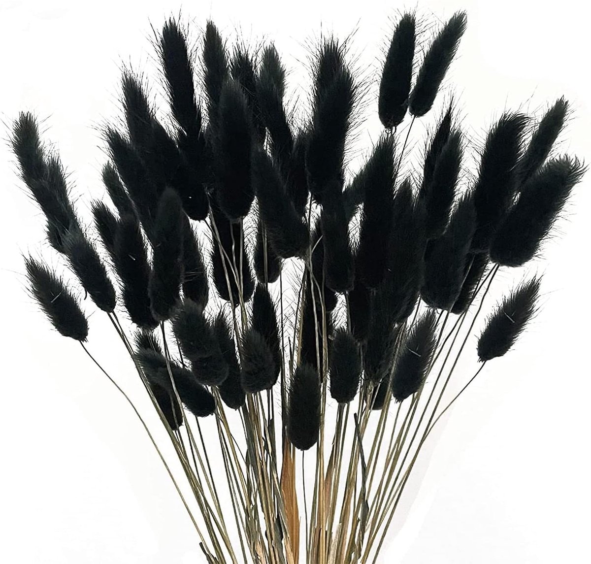 Pampasgras - Hoogte 40 cm - Boho - Zwart