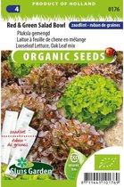 Sluis Garden - Pluksla Red & Green Salad Bowl - BIO zaailint