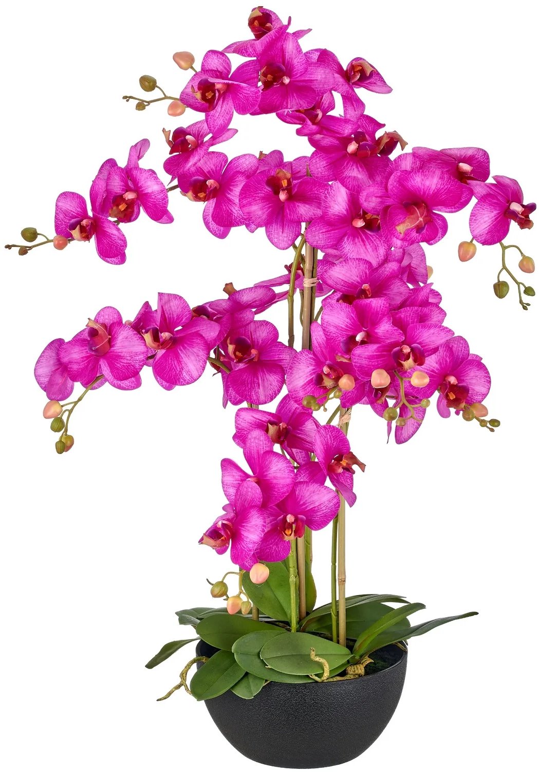 KOPU® Kunstorchidee 80 cm - Lila - Zwarte schaal - Phalaenopsis