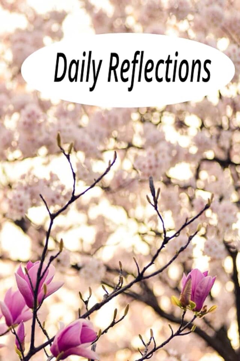 Daily Reflections